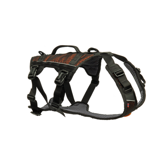Rock harness long