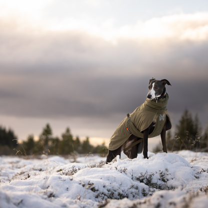 Glacier wool jacket 3.0