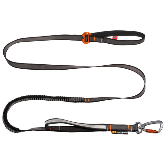 Tourning bungee adjustable