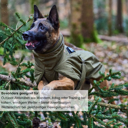 Glacier dog jacket WD