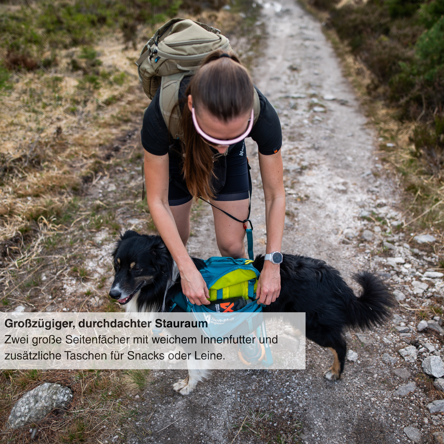 Trail quest dog backpack