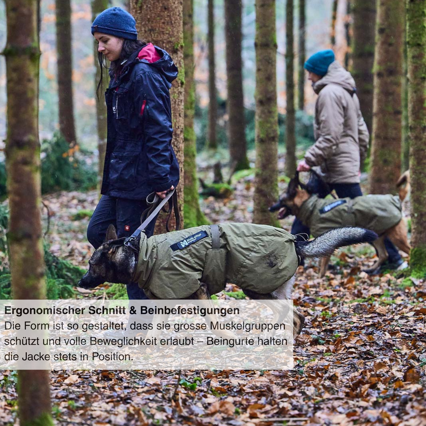 Glacier dog jacket WD