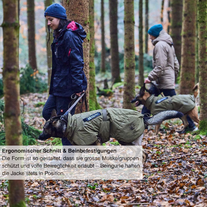 Glacier dog jacket WD
