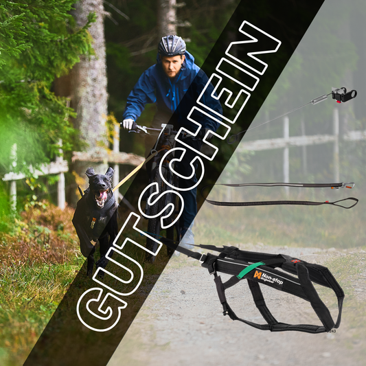 Gutschein für Bikejöring-Set