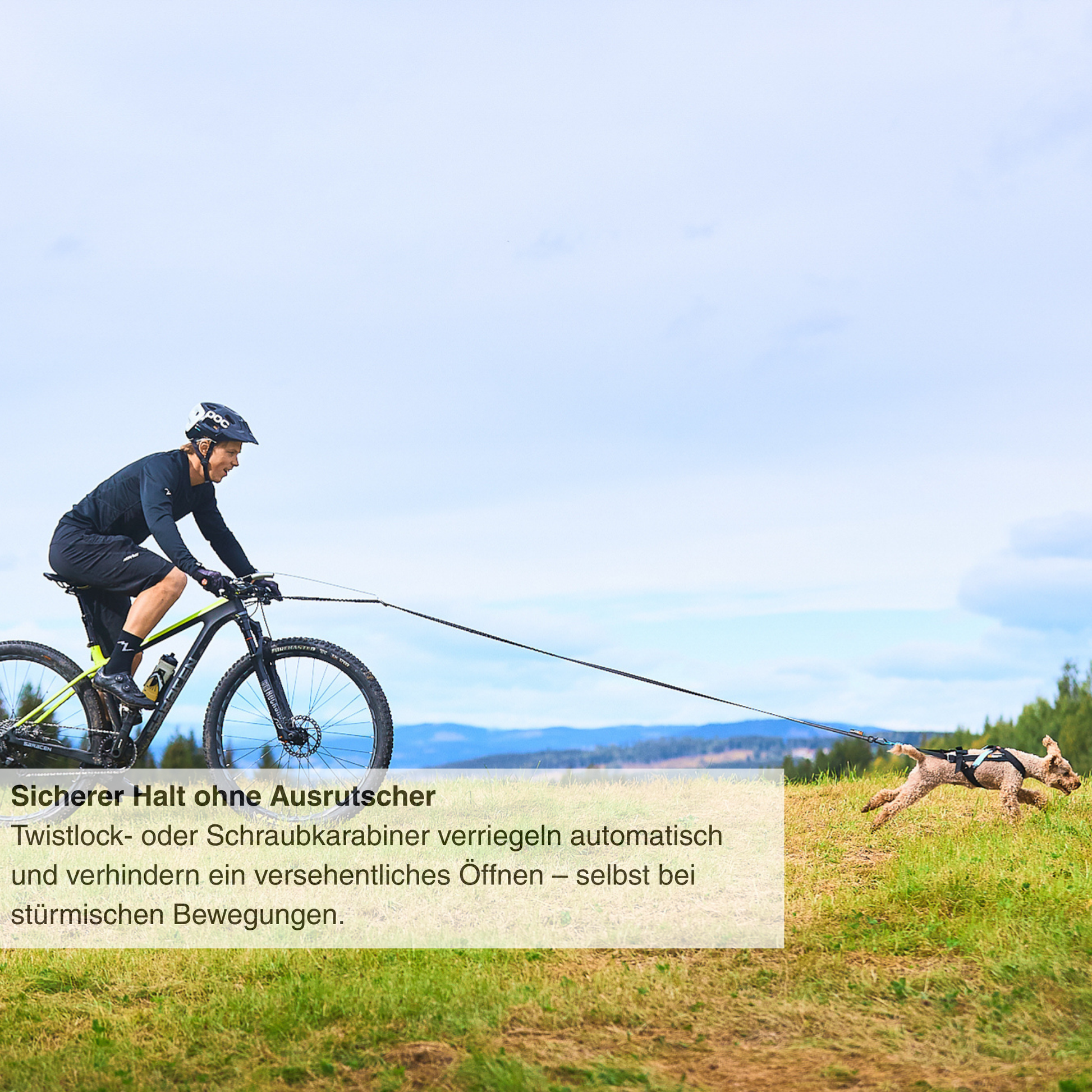 fahrradhelm gutschein Gutschein für Bikejöring-Set – Beito by Sentier web GmbH