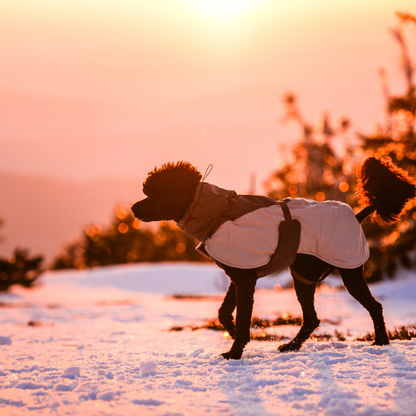 Glacier wool jacket 3.0