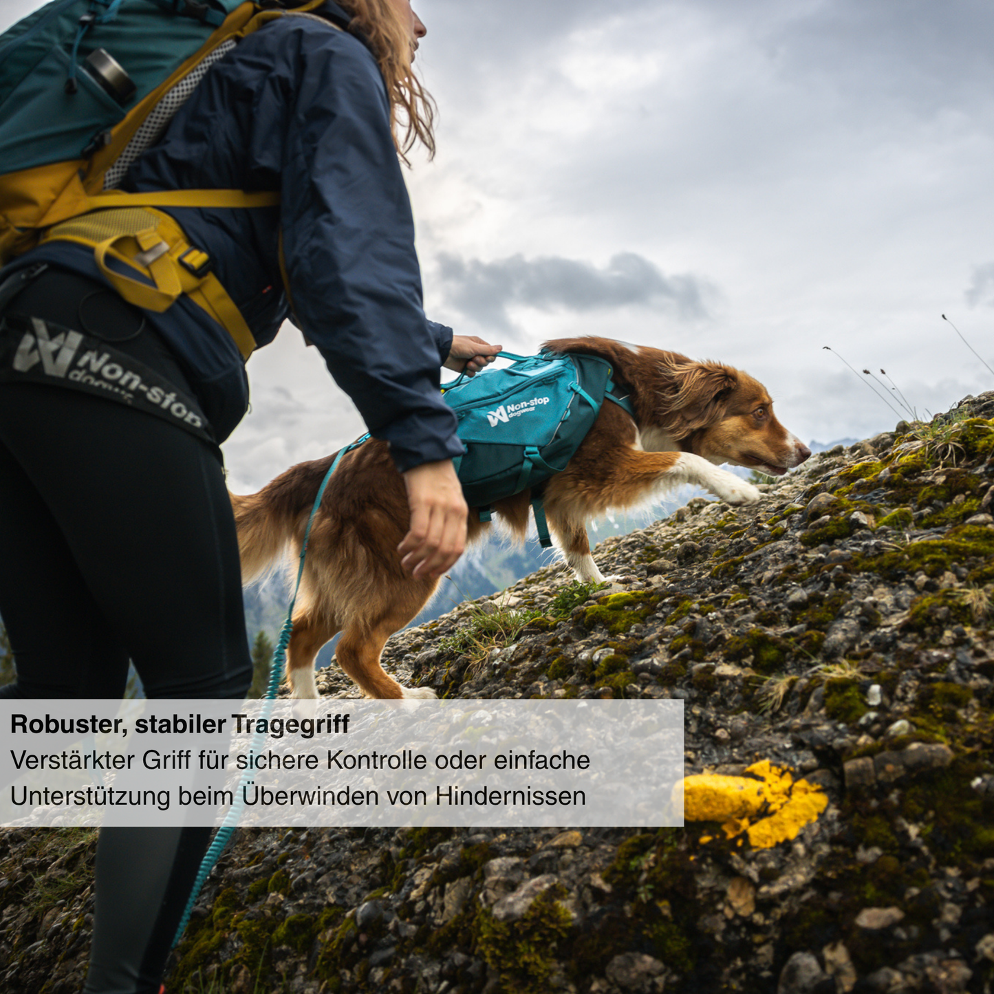 Trail quest dog backpack