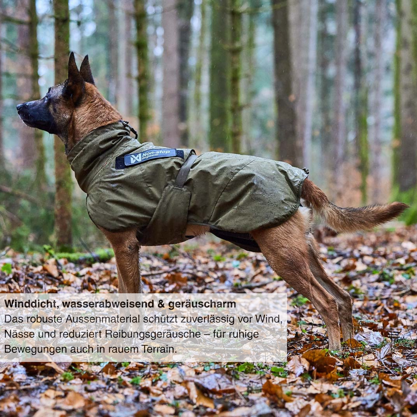Glacier dog jacket WD