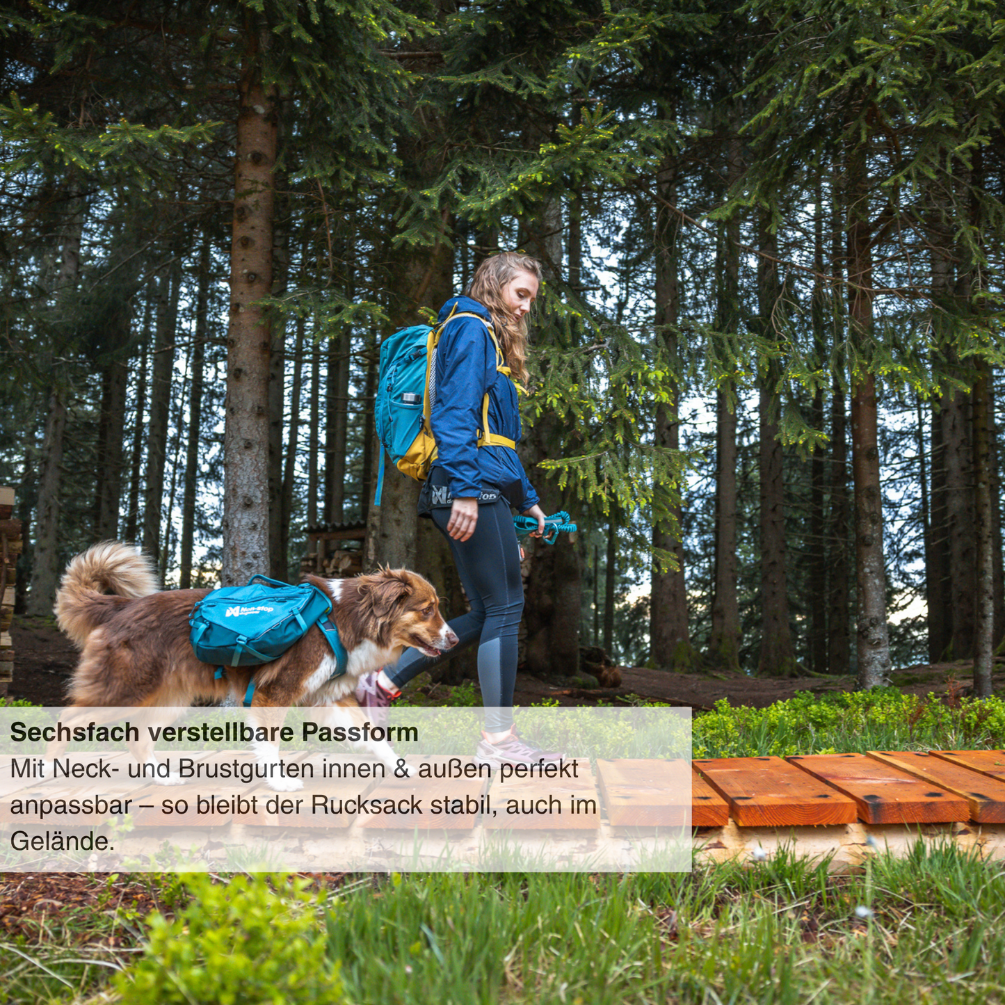 Trail quest dog backpack