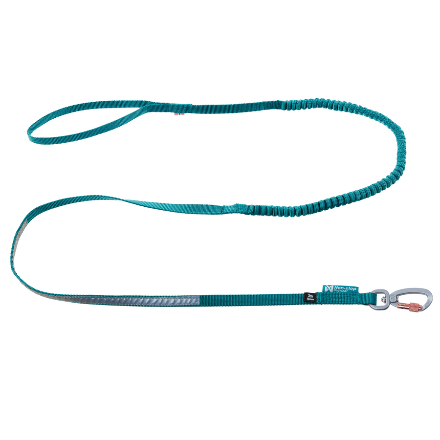 Touring bungee leash – Teal