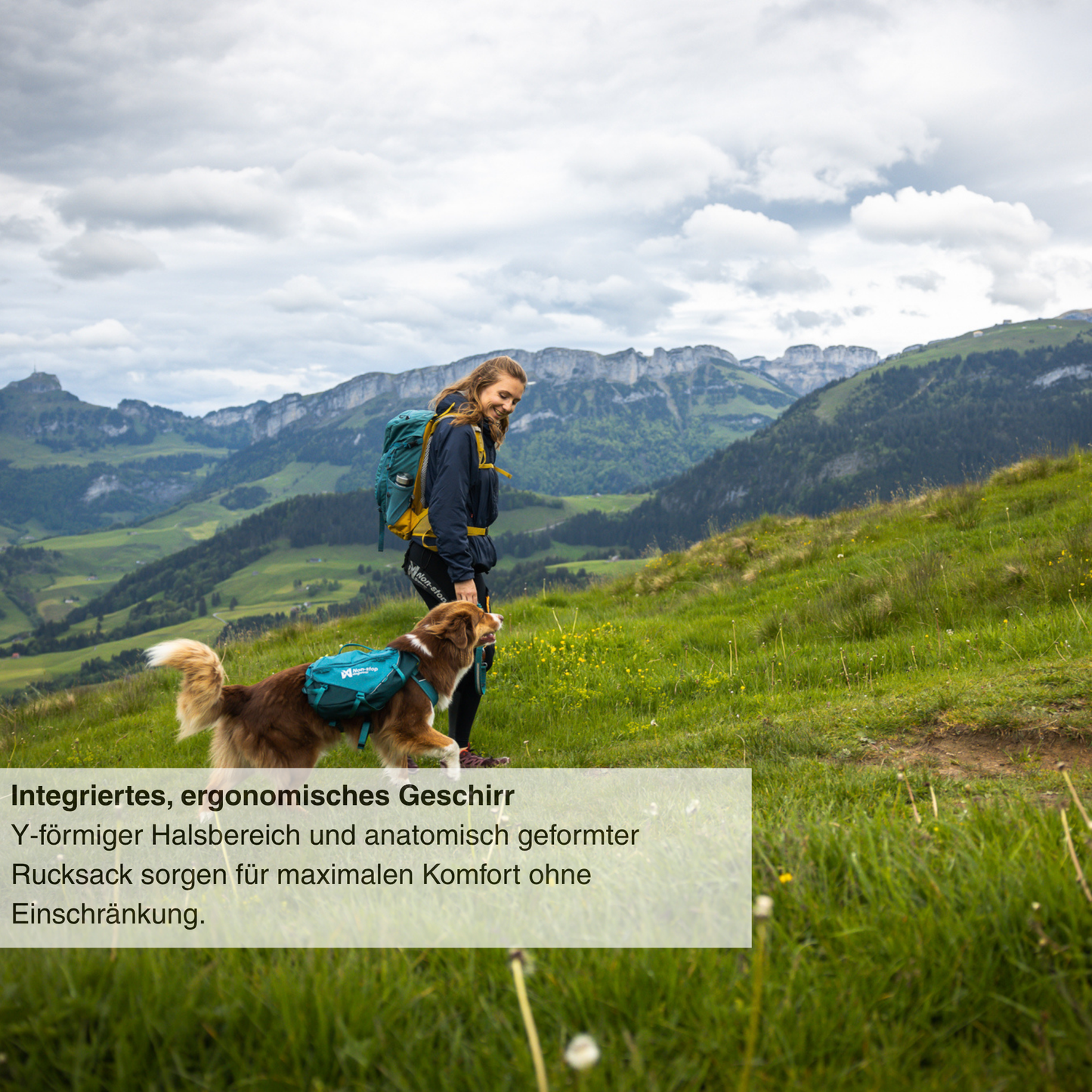 Trail quest dog backpack