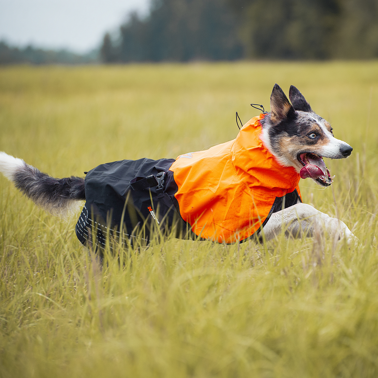 Fjord raincoat | Outlet