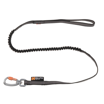 Touring bungee leash