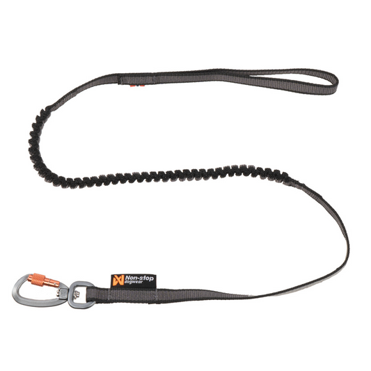 Touring bungee leash