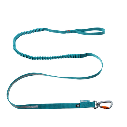 Touring bungee leash