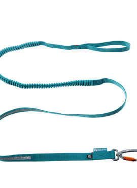 Touring bungee leash