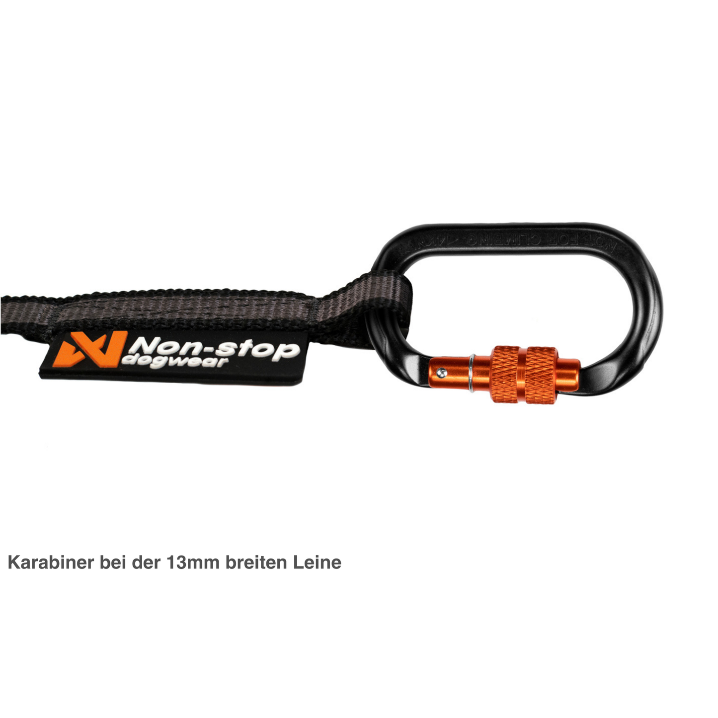 Touring bungee leash