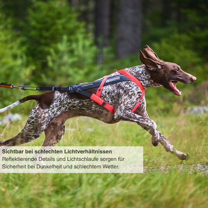 Freemotion harness 5.0