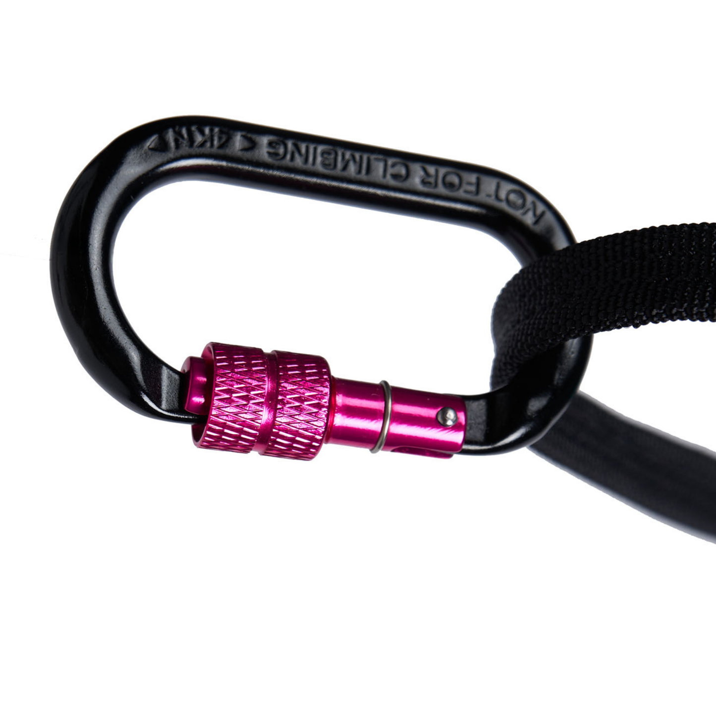 CaniX belt 2.0
