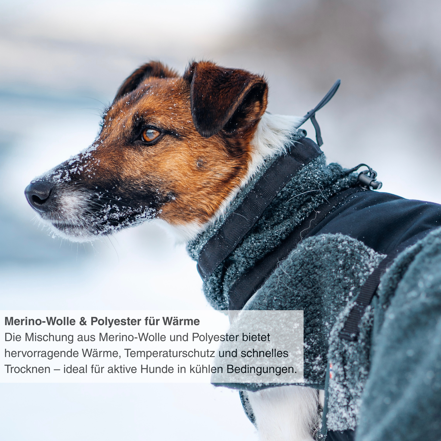 Wool dog jacket