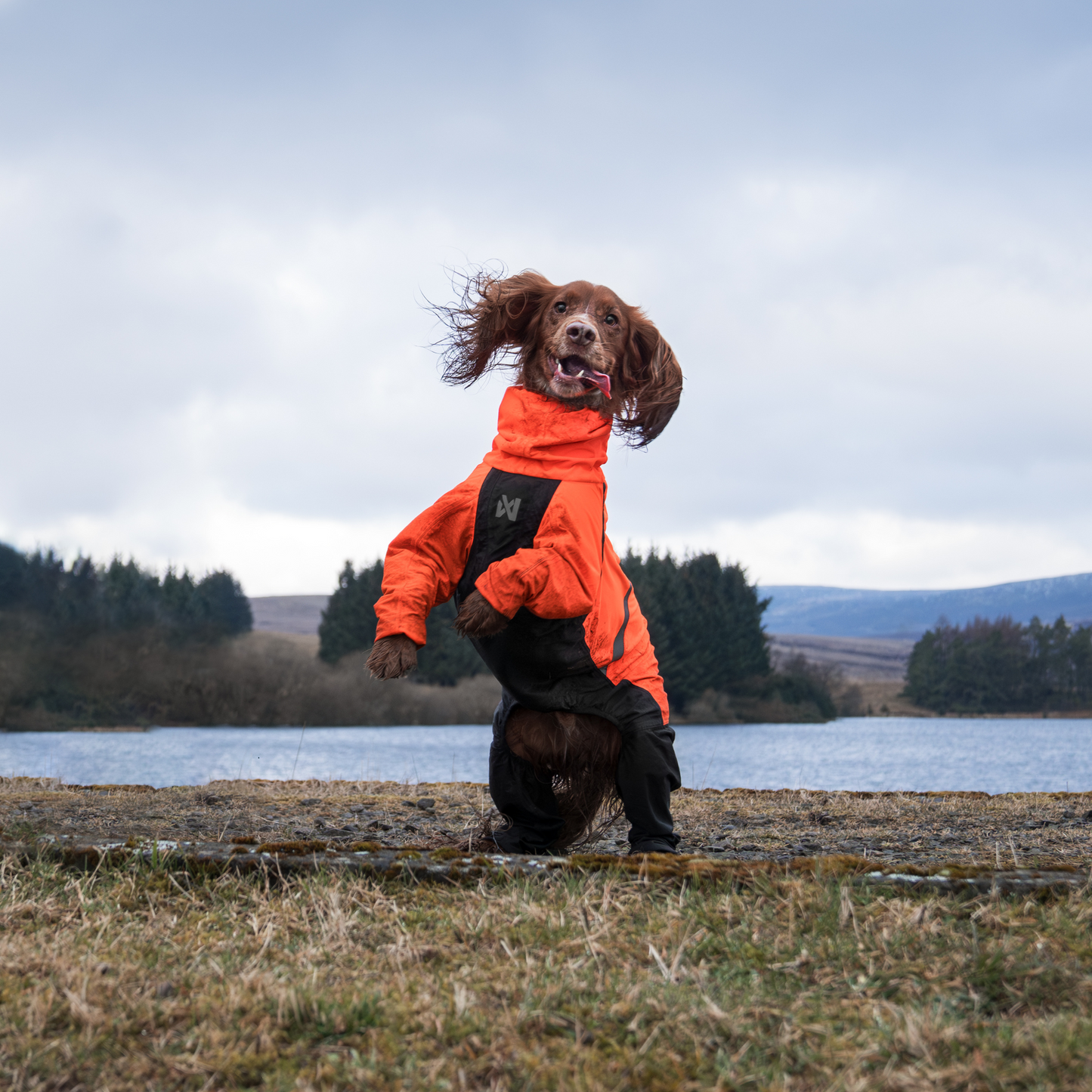 Fjord Overall Raincoat