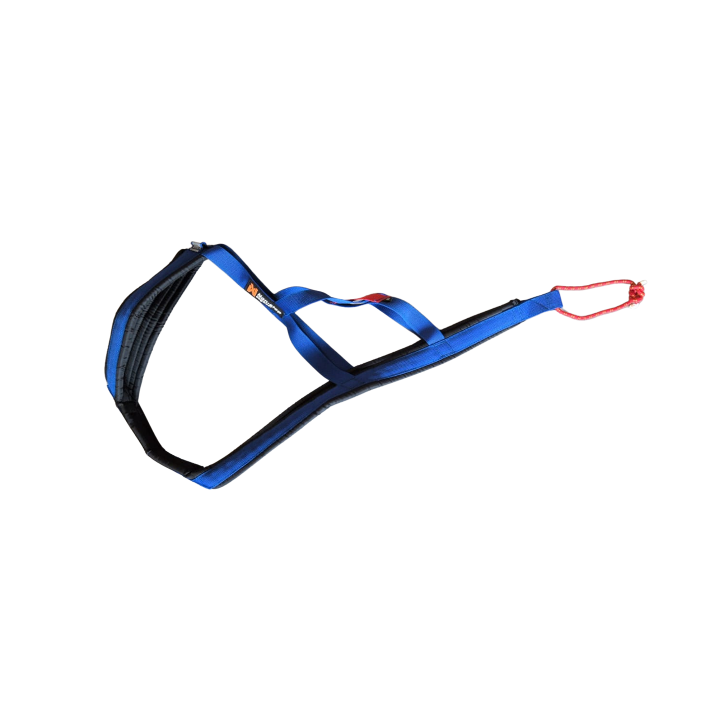 Nansen nome tourist | Outlet