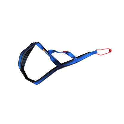 Nansen nome tourist | Outlet