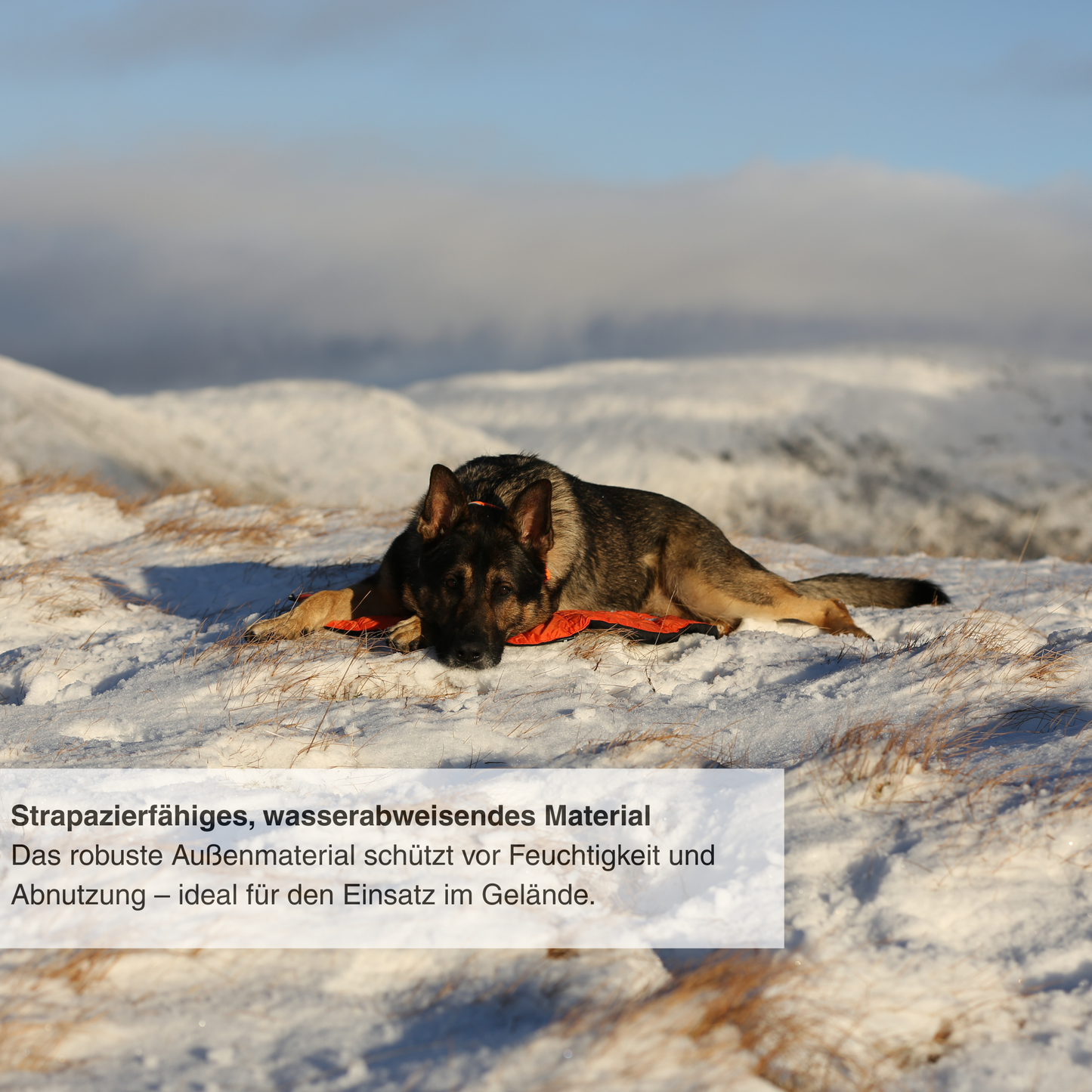 Protector Bivvy Bed