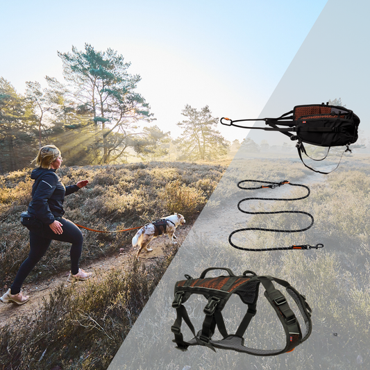 Wanderset safety