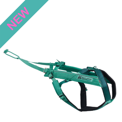 Non-stop Dogwear Freemotion Harness 5.0 Hundegeschirr aqua vorne Produktbild