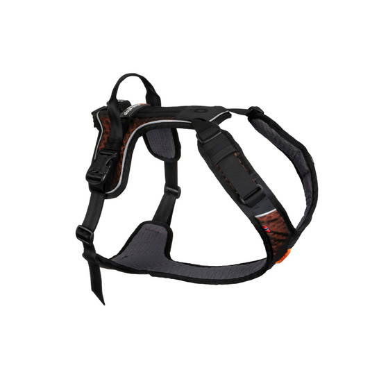 Rock harness