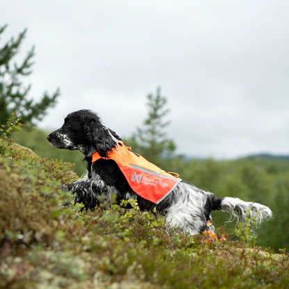 Protector Vest 2.0