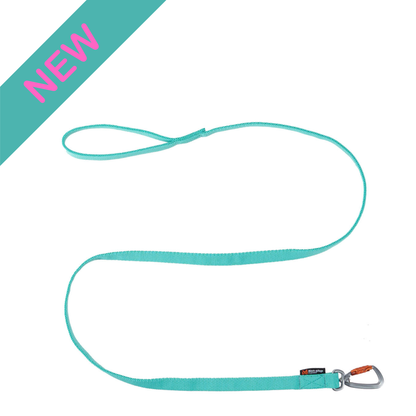 Bungee leash