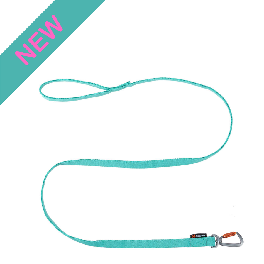 Bungee leash