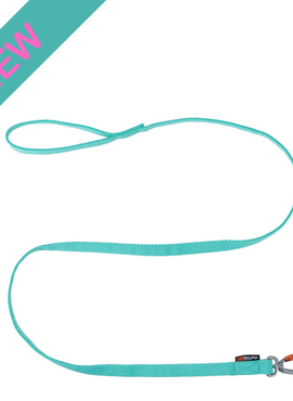 Bungee leash