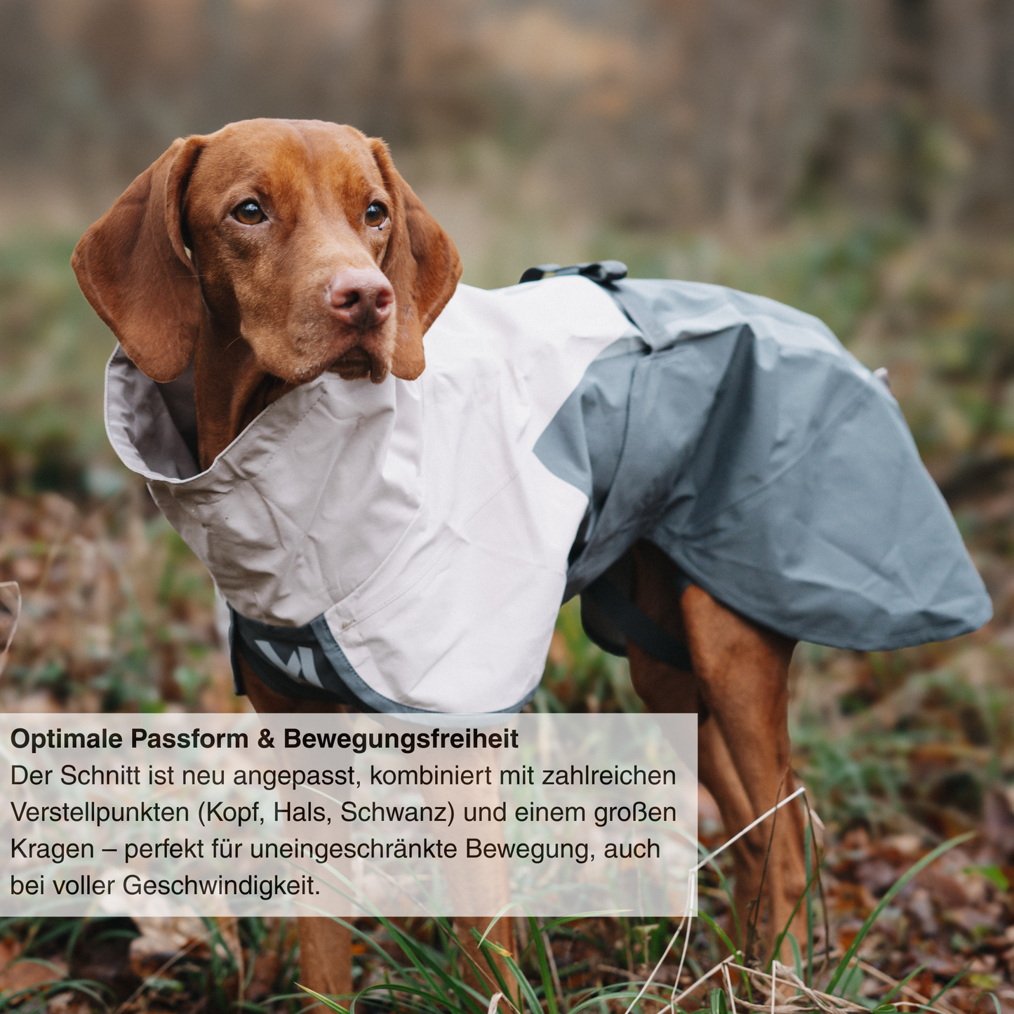 Fjord raincoat 2.0