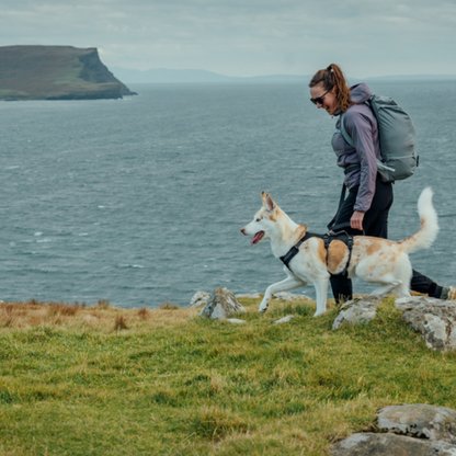 Ridgeline™ Harness