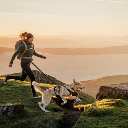 Ridgeline™ Harness