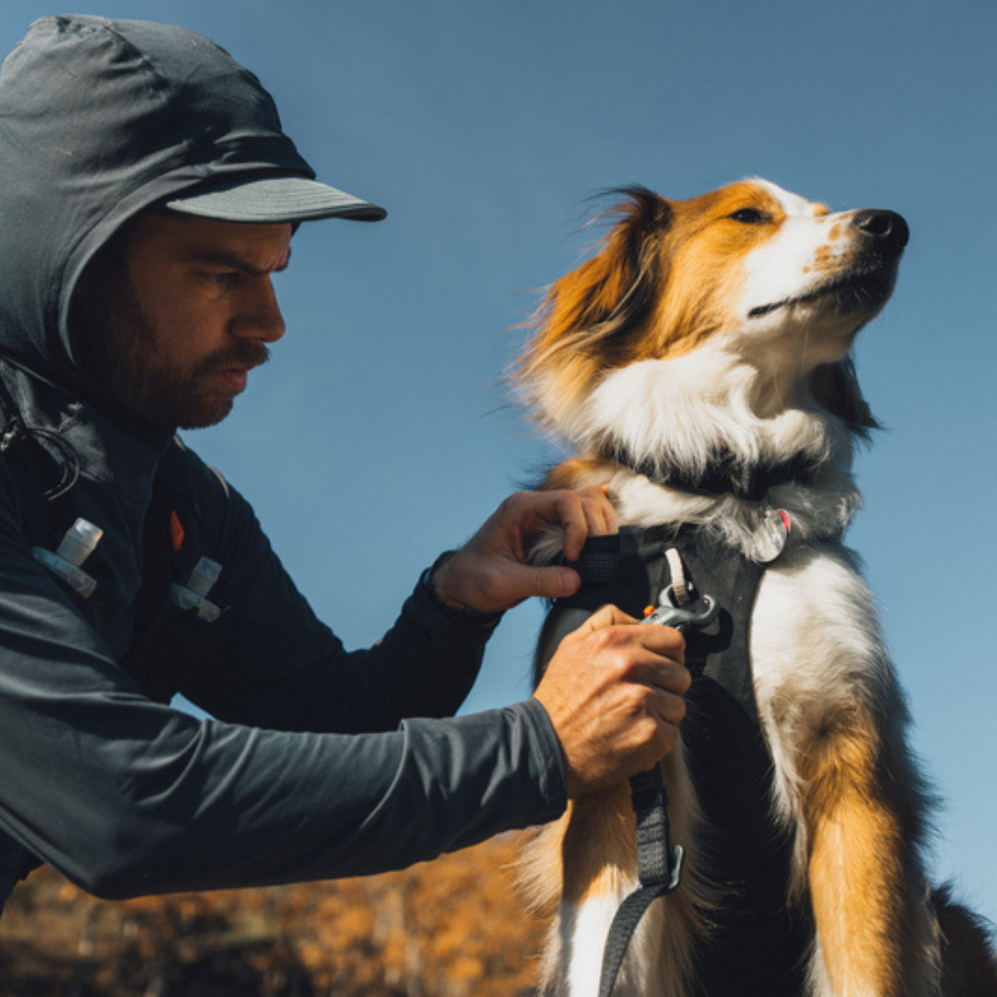Ridgeline™ Harness