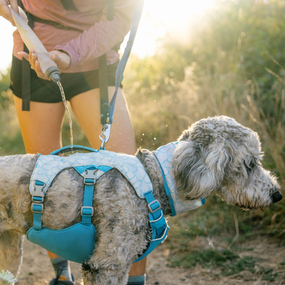 Swamp Cooler™ Harness