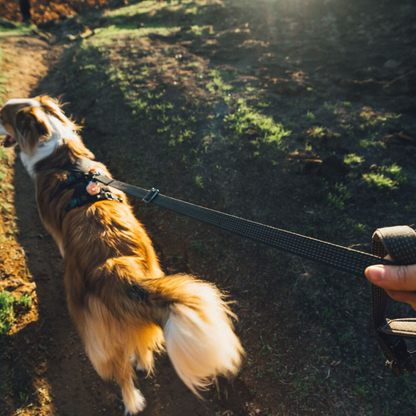 Ridgeline™ Leash