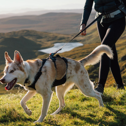 Ridgeline™ Leash