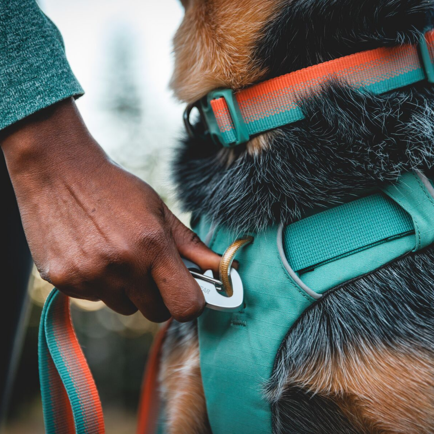 Front Range™ Day Pack