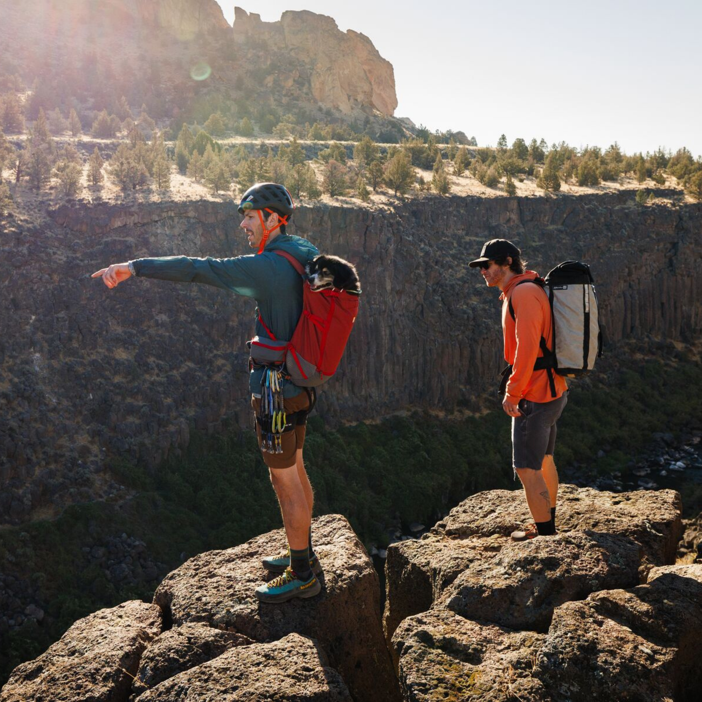 Hitch Hiker™ Dog Backpack Carrier