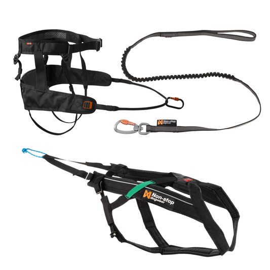 Canicross Set Kleine Hunde