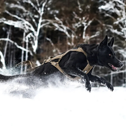 Freemotion harness defense | Outlet