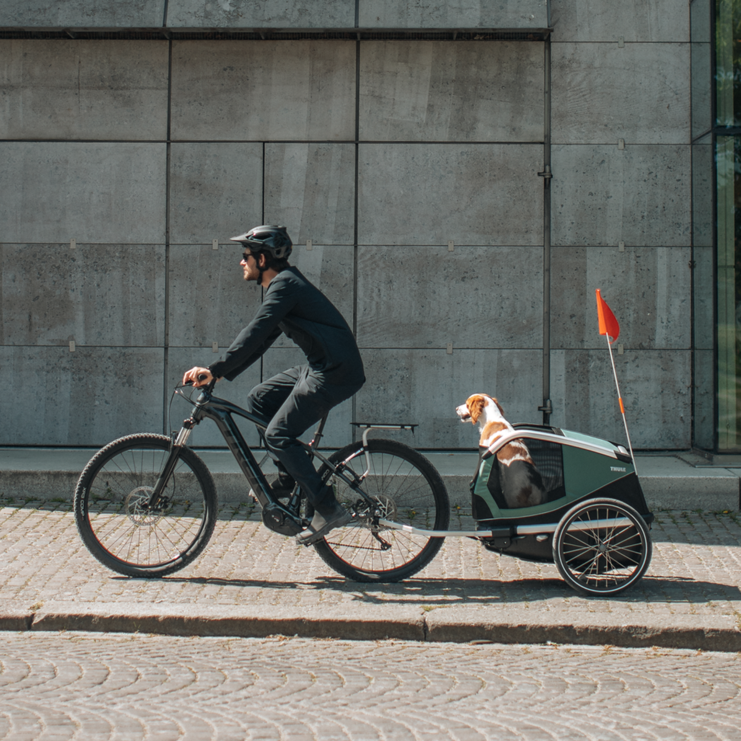 Thule Bexey M Hundeanhänger Set inkl. Hundebett M | Outlet