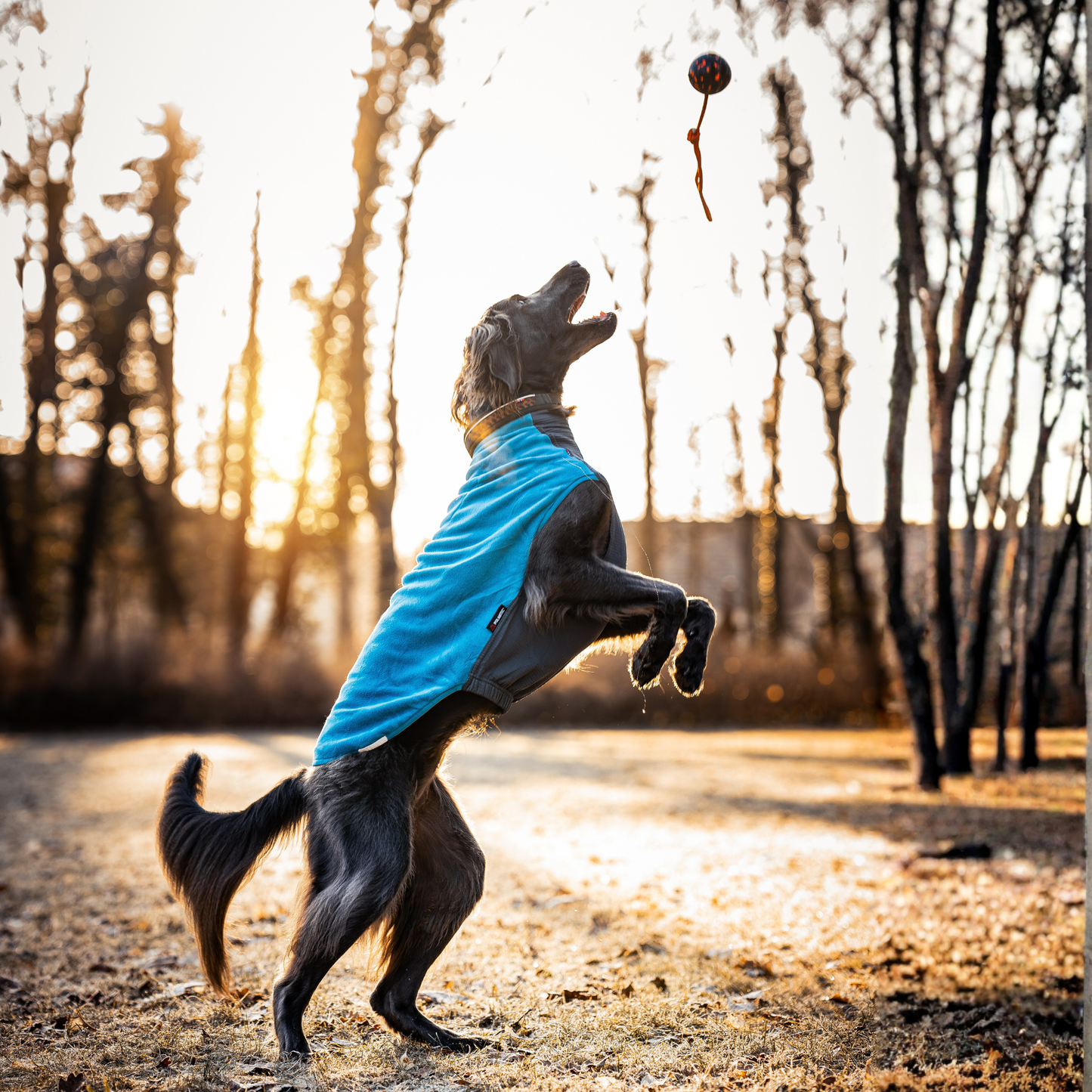 Trail quest fleece pullover