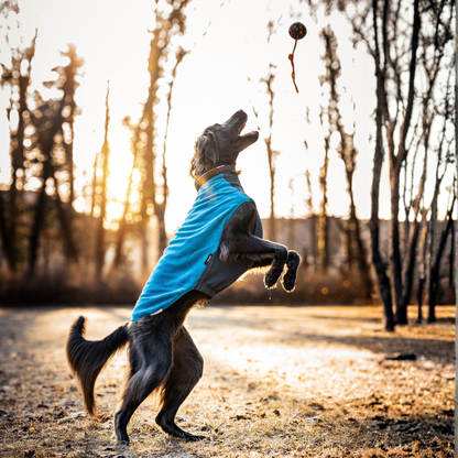 Trail quest fleece pullover