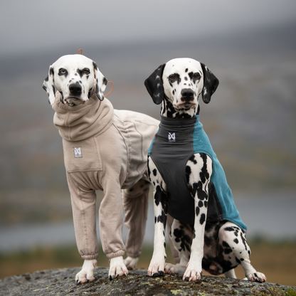 Trail quest fleece pullover